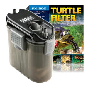 Turtle Filter