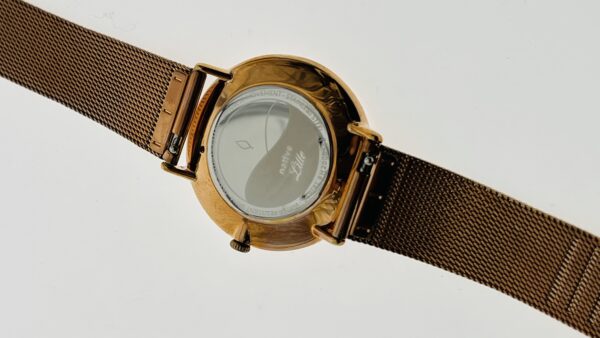 Nordgreen H2008563 Native Litte Gold & Leather Strap Unisex Analog Watch with Strap - Image 10