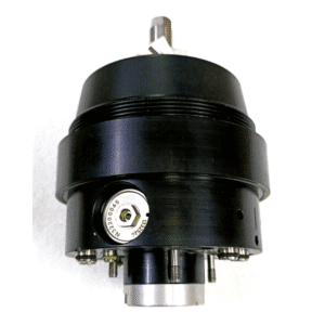 Untitled design - 2025-08-07T153232.152