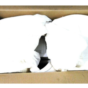 Untitled design - 2025-08-07T161942.940