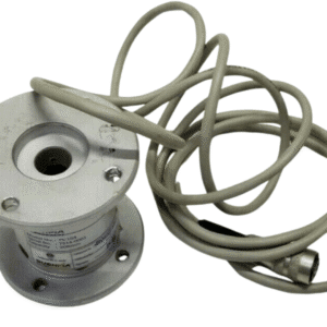 Untitled design - 2025-08-12T123124.812