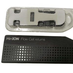 Untitled design - 2025-08-14T164922.925