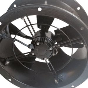 Untitled design - 2025-08-15T122621.974