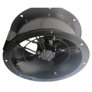 Untitled design - 2025-08-15T122745.868