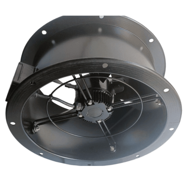 Untitled design - 2025-08-15T122745.868