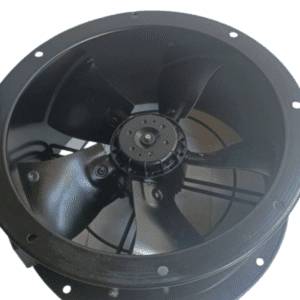 Untitled design - 2025-08-15T122812.681