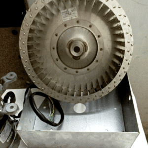 Untitled design - 2025-08-20T145417.655