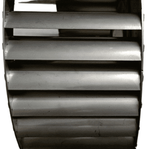 Untitled design - 2025-08-20T145455.054