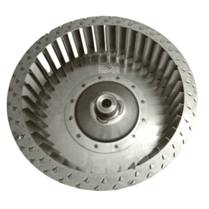 Untitled design - 2025-08-20T145529.899