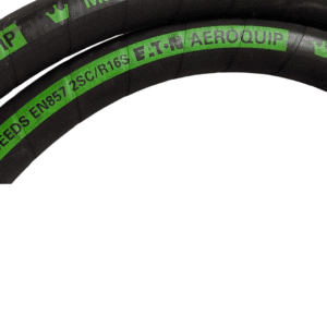 Untitled design - 2025-09-03T145050.578