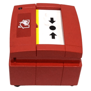 Untitled design - 2025-09-03T151509.062