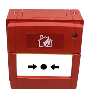 Untitled design - 2025-09-03T151559.319