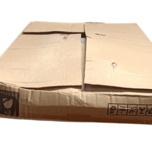 Untitled design - 2025-09-23T171549.200