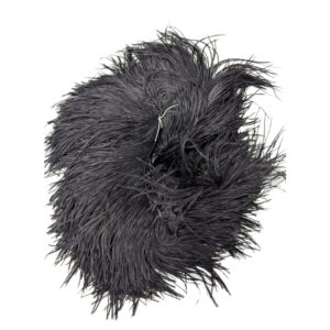 Ostrich Feather (1)