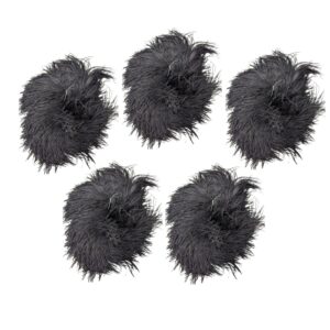 Ostrich Feather