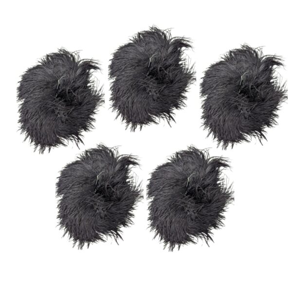 Ostrich Feather
