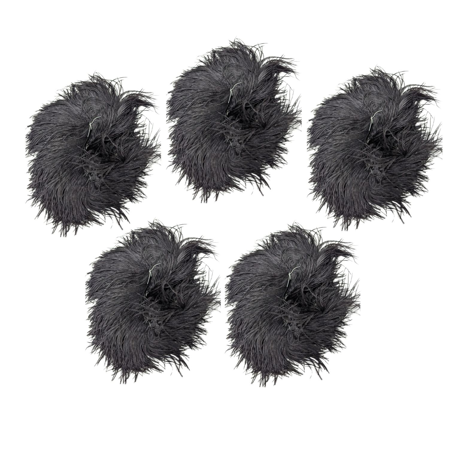 Ostrich Feather